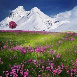 WP02038 Фотообои Verol Фотообои decoline 1х1 м