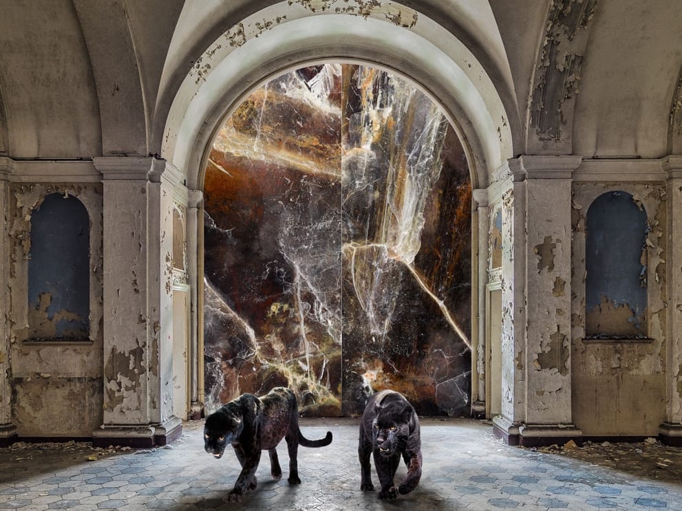 Декоративная панель из алюминия, стекла или ПММА Tecnografica супер драгоценные ARCH-00124662