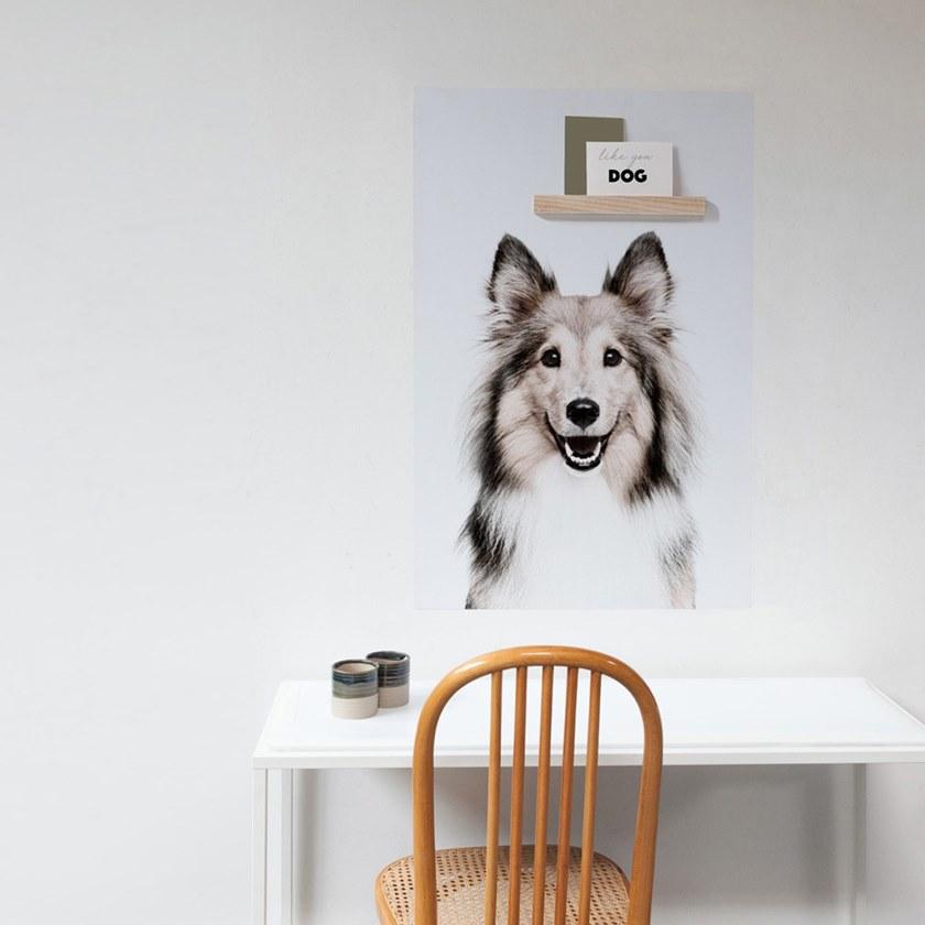 Groovy Magnets Клейкое виниловое украшение  St-92x60-d  - Вид №3