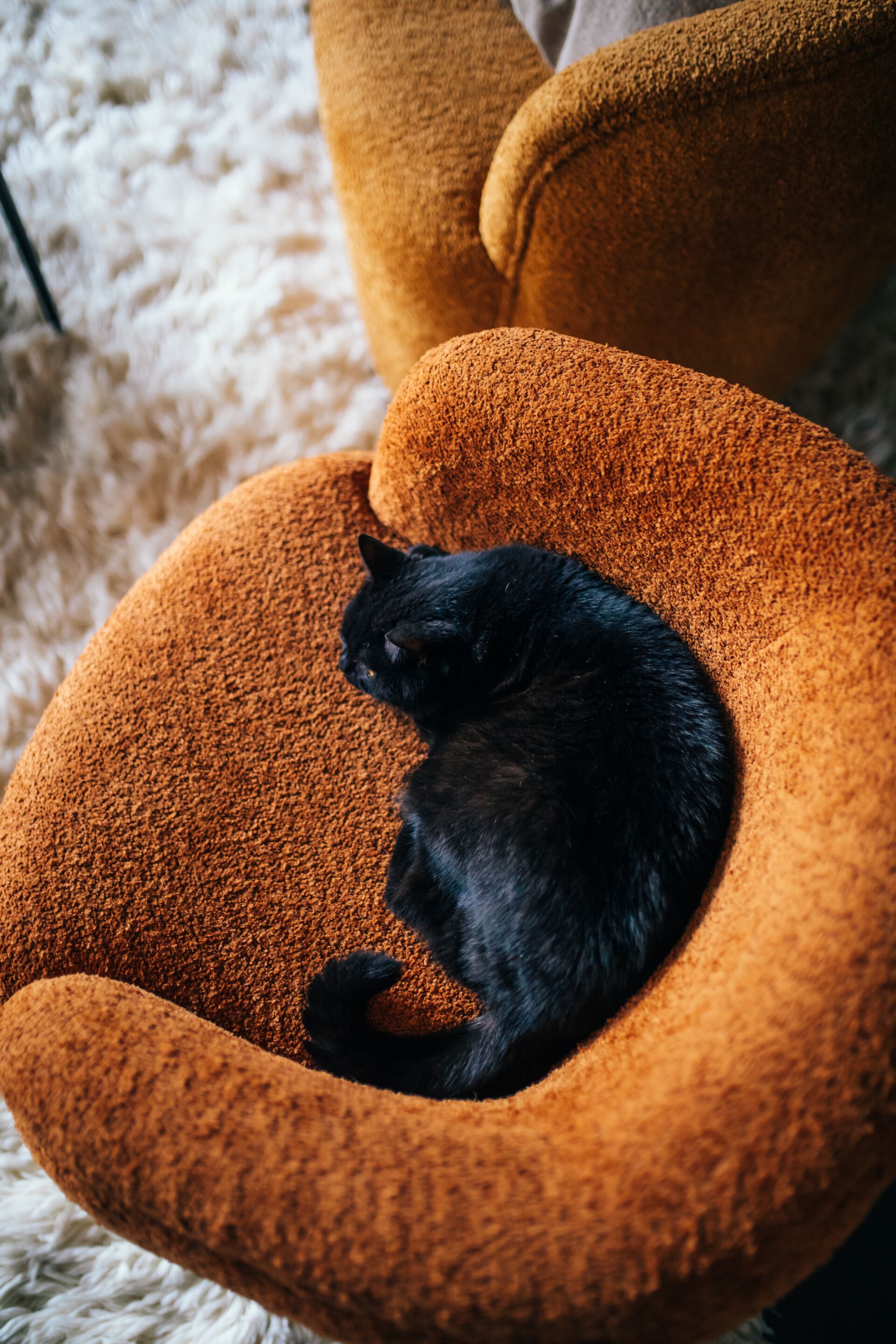 Тканевое кресло с подлокотниками POMAX Porterville ARCH-00028371 - Вид №11