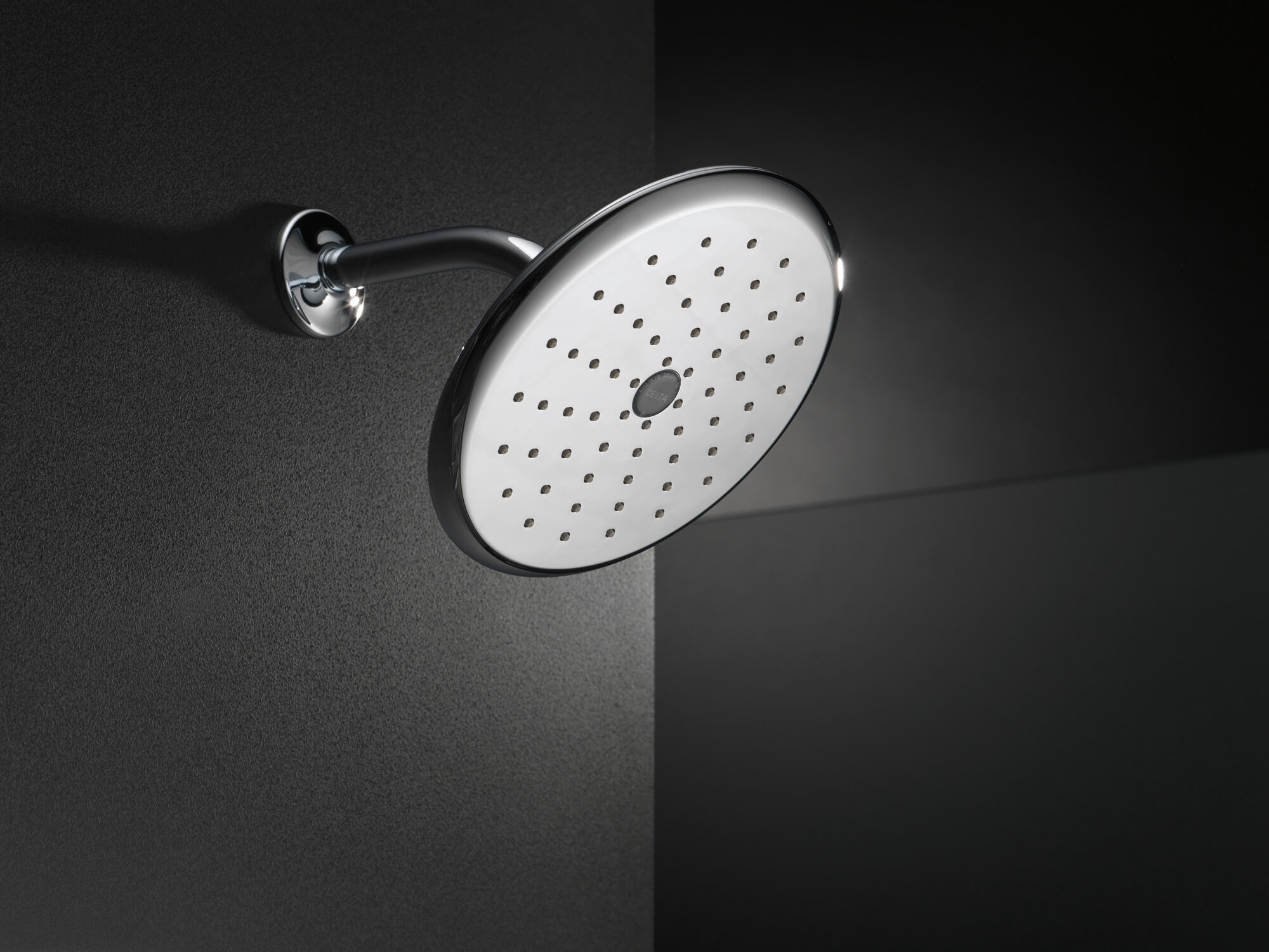 RP52382SS Душевая лейка Raincan с одинарной настройкой Delta Faucet Universal Showering Нержавеющая сталь  - Вид №3