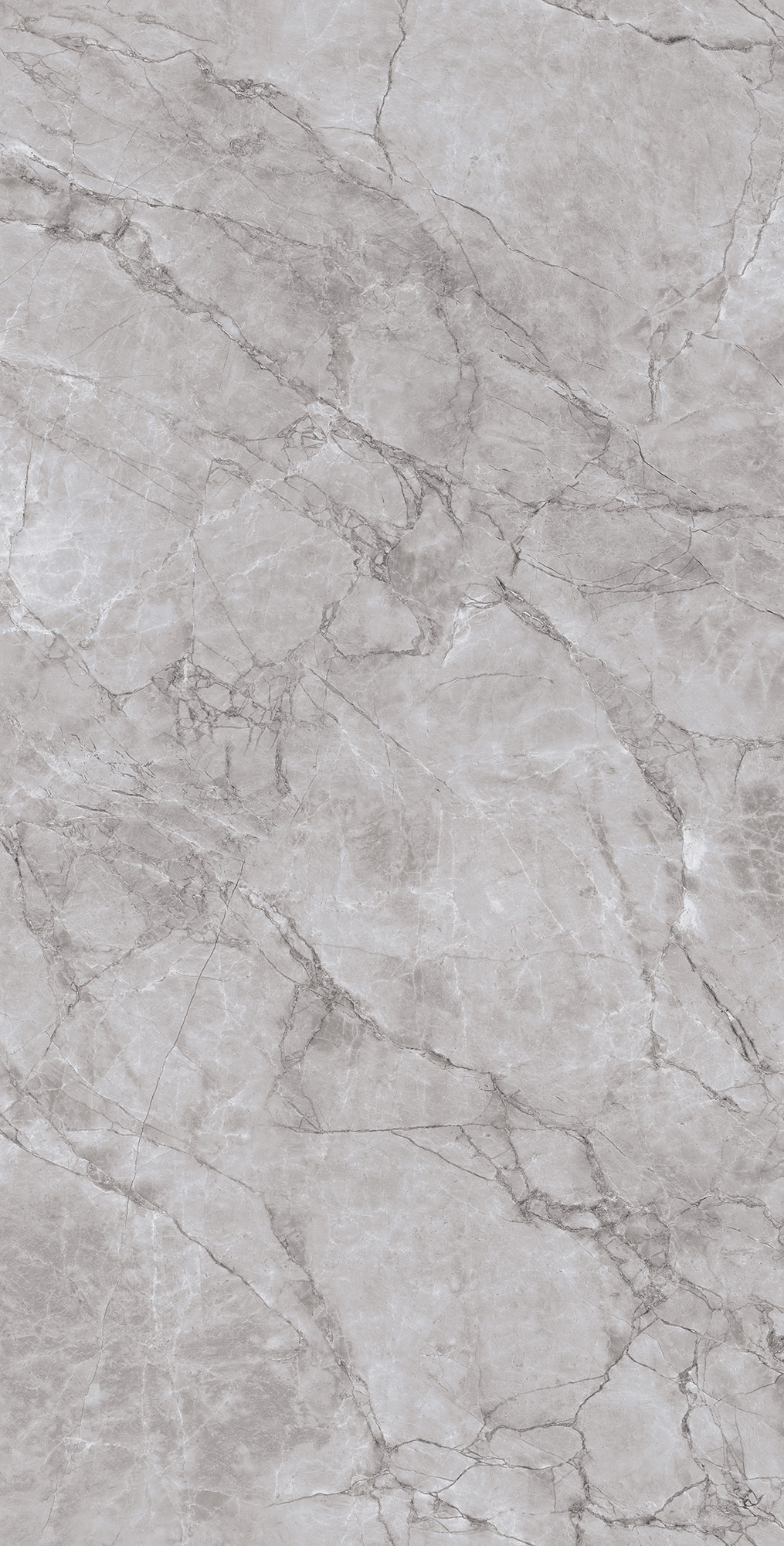 ARCTIC GREY LAPPATO ARCADIA CERAMICA CL4005-A - Вид №5
