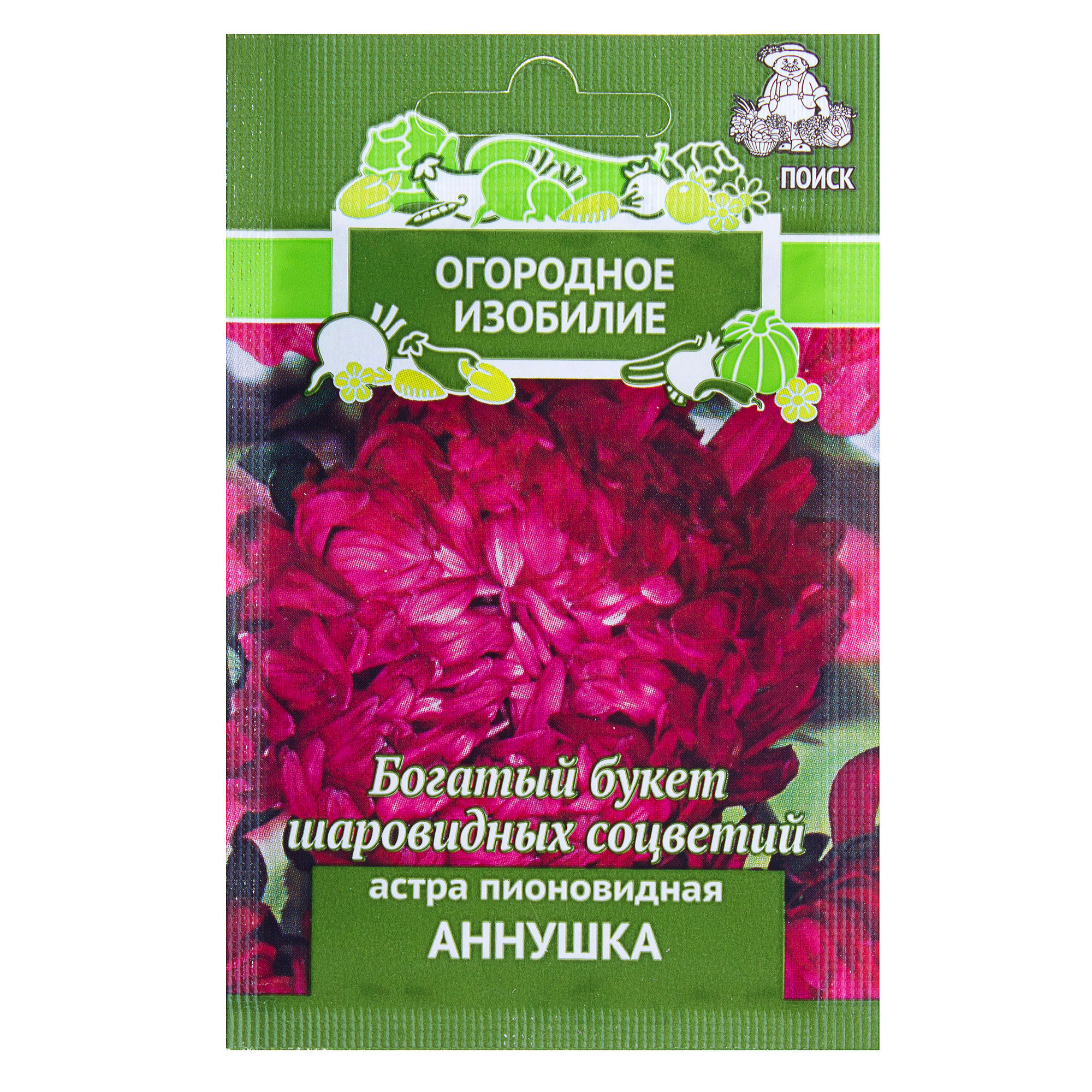 18358764 Астра пионовидная «Аннушка» Santreyd 