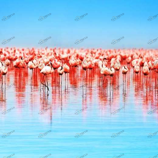 WP02608 Фотообои Verol Фотообои decoline 1х1 м