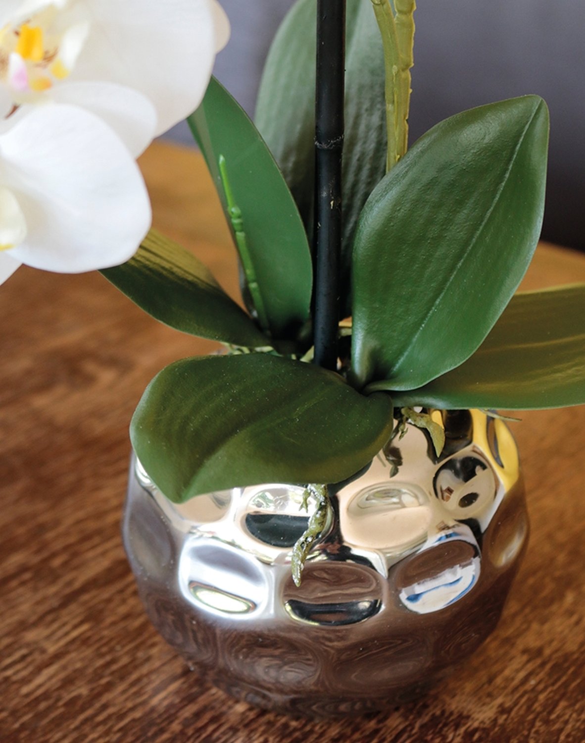 2772 778 a3 Пластиковая орхидея Phalaenopsis, 2-х кратная, горшечная, 45 см, real touch, бежево-белая H-andreas  - Вид №3