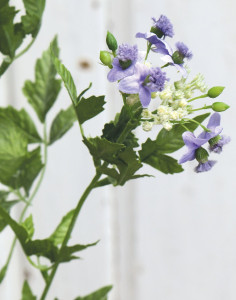 4095 220 a2 Усик искусственного чеснока, 3-х кратный, 60 см, светло-фиолетовый H-andreas