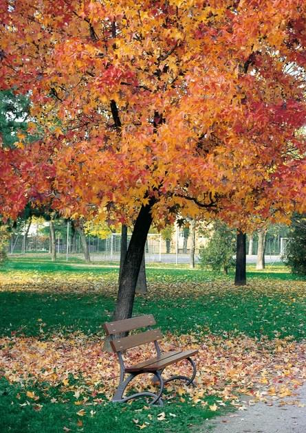 Neri Деревянная скамейка со спинкой Salix 2142  - Вид №1