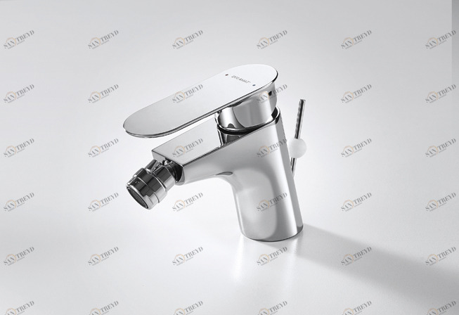 Смеситель для биде GINA F365104C-ENG bravat