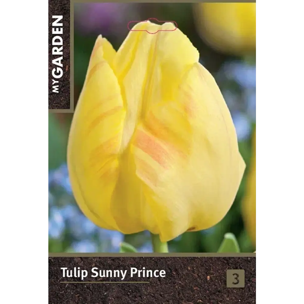 Луковицы тюльпана Санни Принц 10/11 - многолетние цветущие растения 89432949 Santreyd STLM-1581652