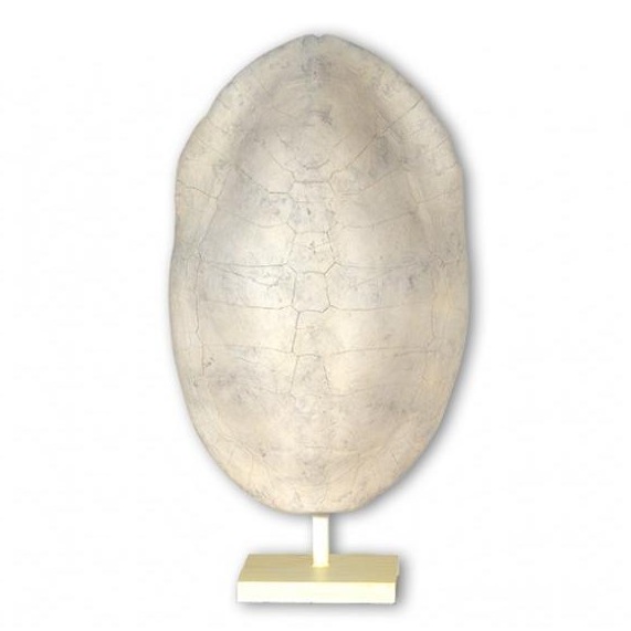 004148 Лампа Turtle Contradiction Santreyd 