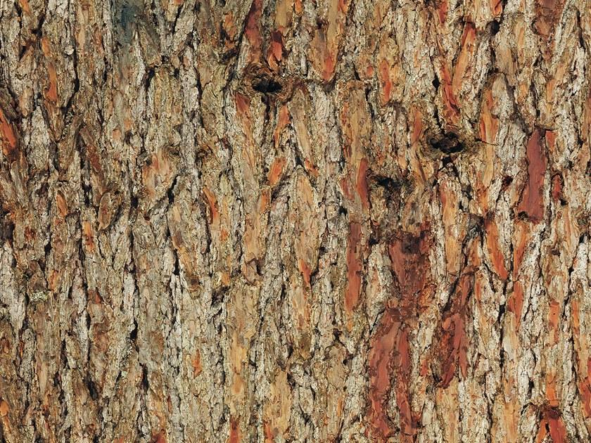 Freund GmbH Внутренняя облицовка корой лиственницы Nature sun-id-1495187 - Вид №5