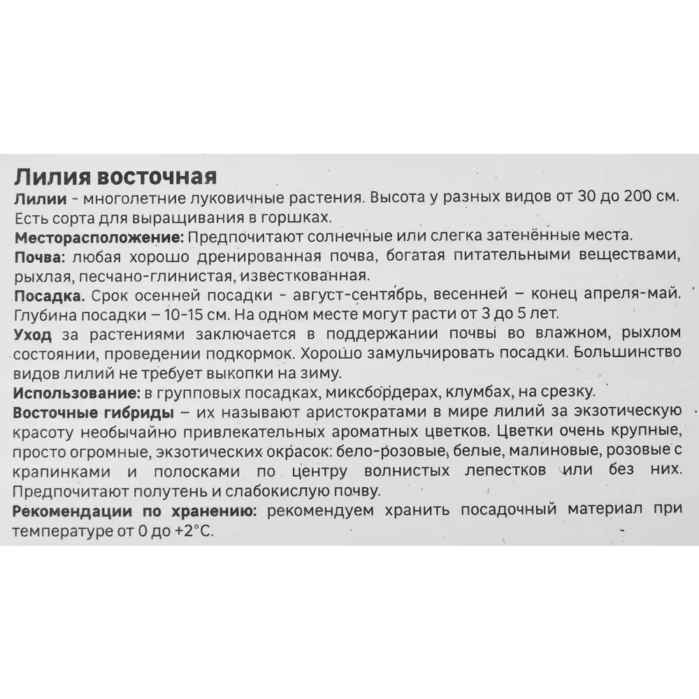 Лилия Geolia восточная Плейтайм STLM-2046053 - Вид №3