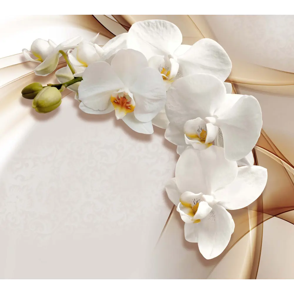 Фотообои Белая орхидея флизелиновые 300x270 см 6252-Л МОСКОВСКАЯ ОБОЙНАЯ ФАБРИКА Malex factory STLM-2146433
