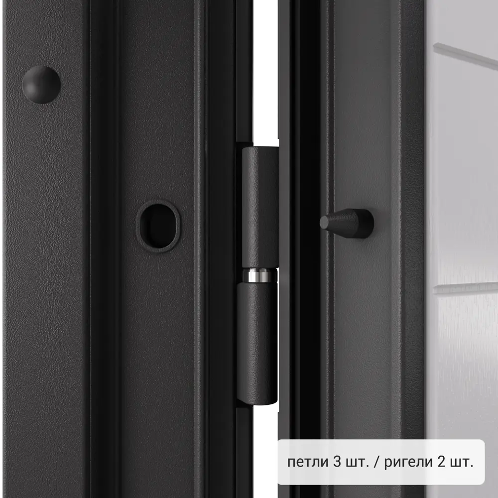 Дверь входная металлическая Фолд райс 950 мм левая TOREX STLM-2080942 - Вид №5