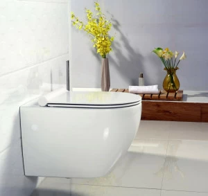 Унитаз подвесной BelBagno SFERA-R безободковый Подвесной унитаз настенный Белый BELBAGNO  Китай