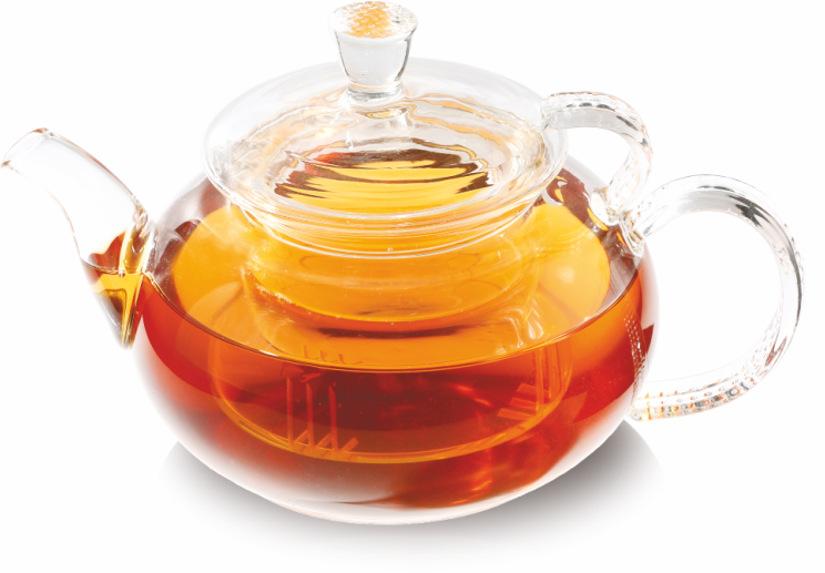 VX3208 Чайник заварной Стекляный Santreyd Россия 