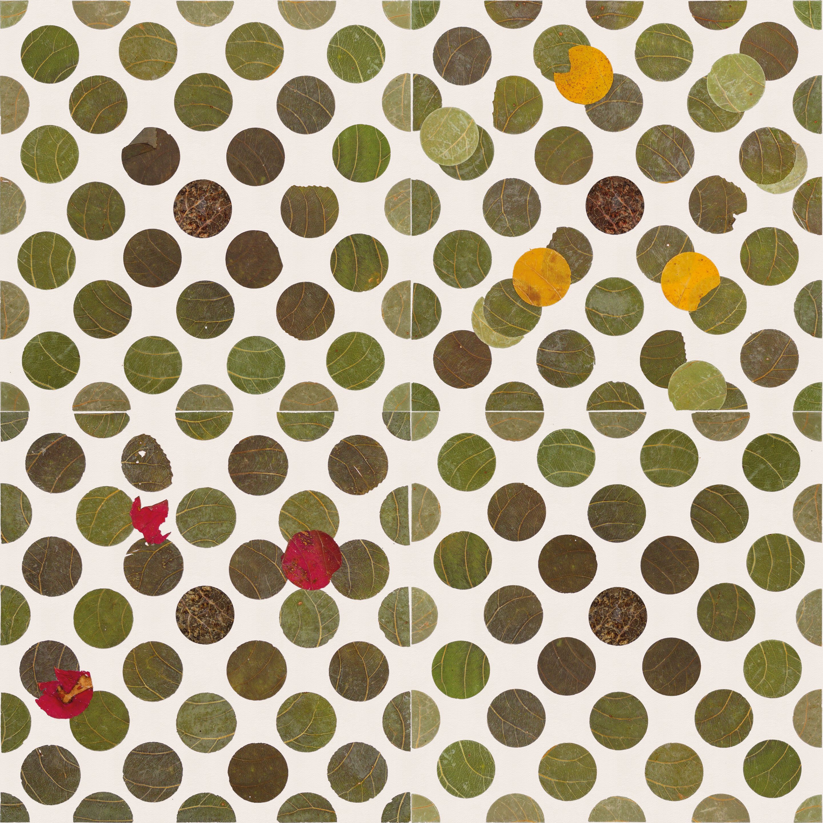 Обои с цифровой печатью Inkiostro Bianco Флора ARCH-00023565 - Вид №2