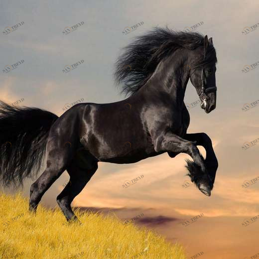 WP00423 Фотообои Verol Фотообои decoline 1х1 м