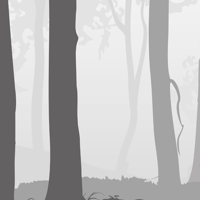 Стеновые панели - Дримвальд LIGRON LIST41 2304