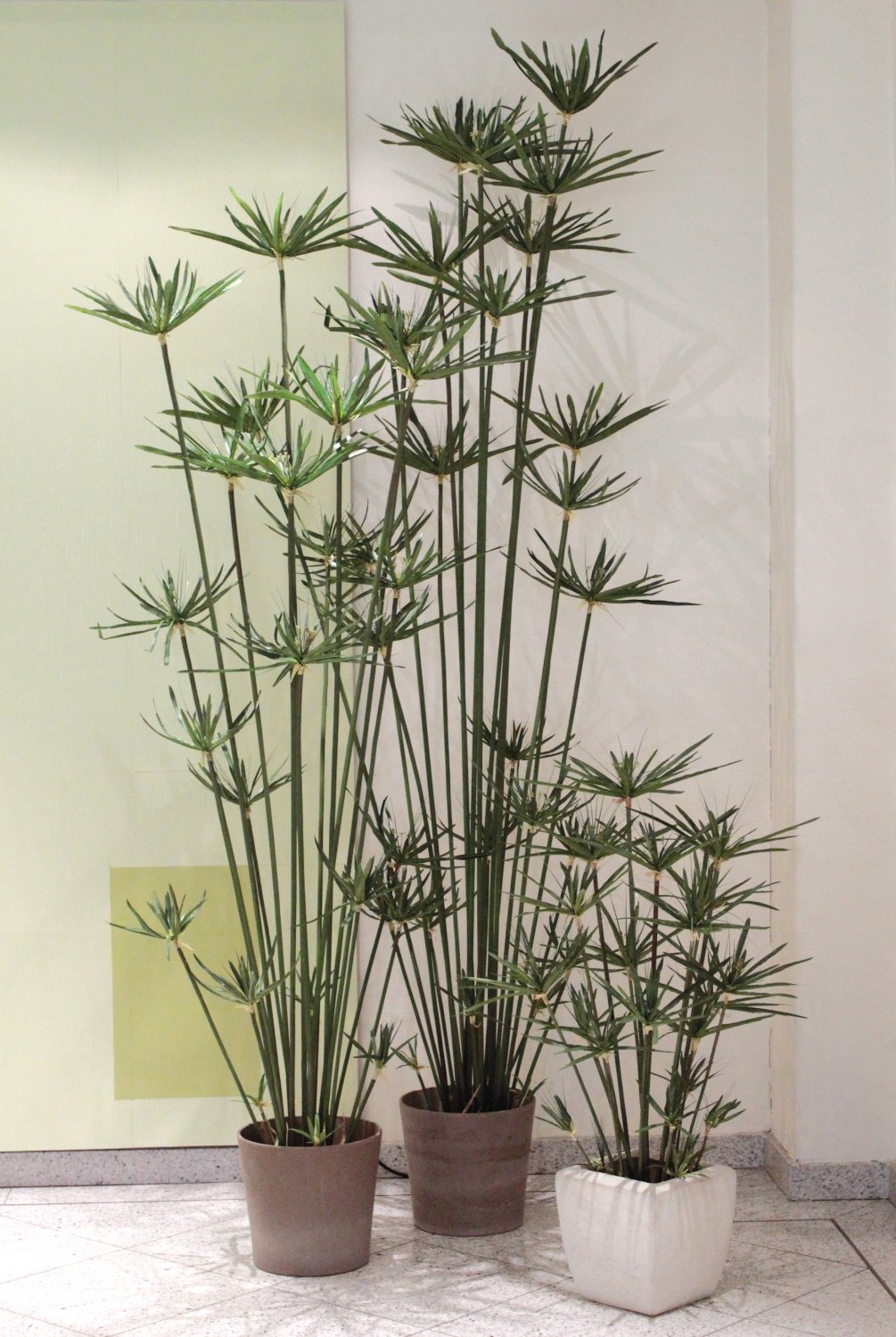 5474 883 a3 Искусственные орехи в горшках, 105 см, зеленые H-andreas  - Вид №5