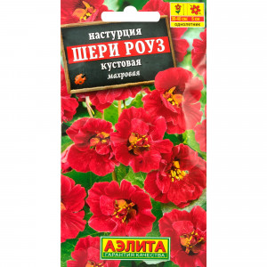 83495451 Семена Настурция «Шери роуз»