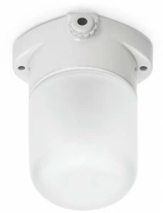 THPG Потолочный светильник из ледяного стекла  100753