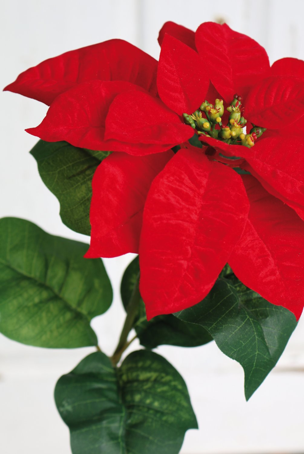 1896 444 a3 Искусственная пуансеттия, 70 см, Ø 21 см, красная H-andreas  - Вид №1