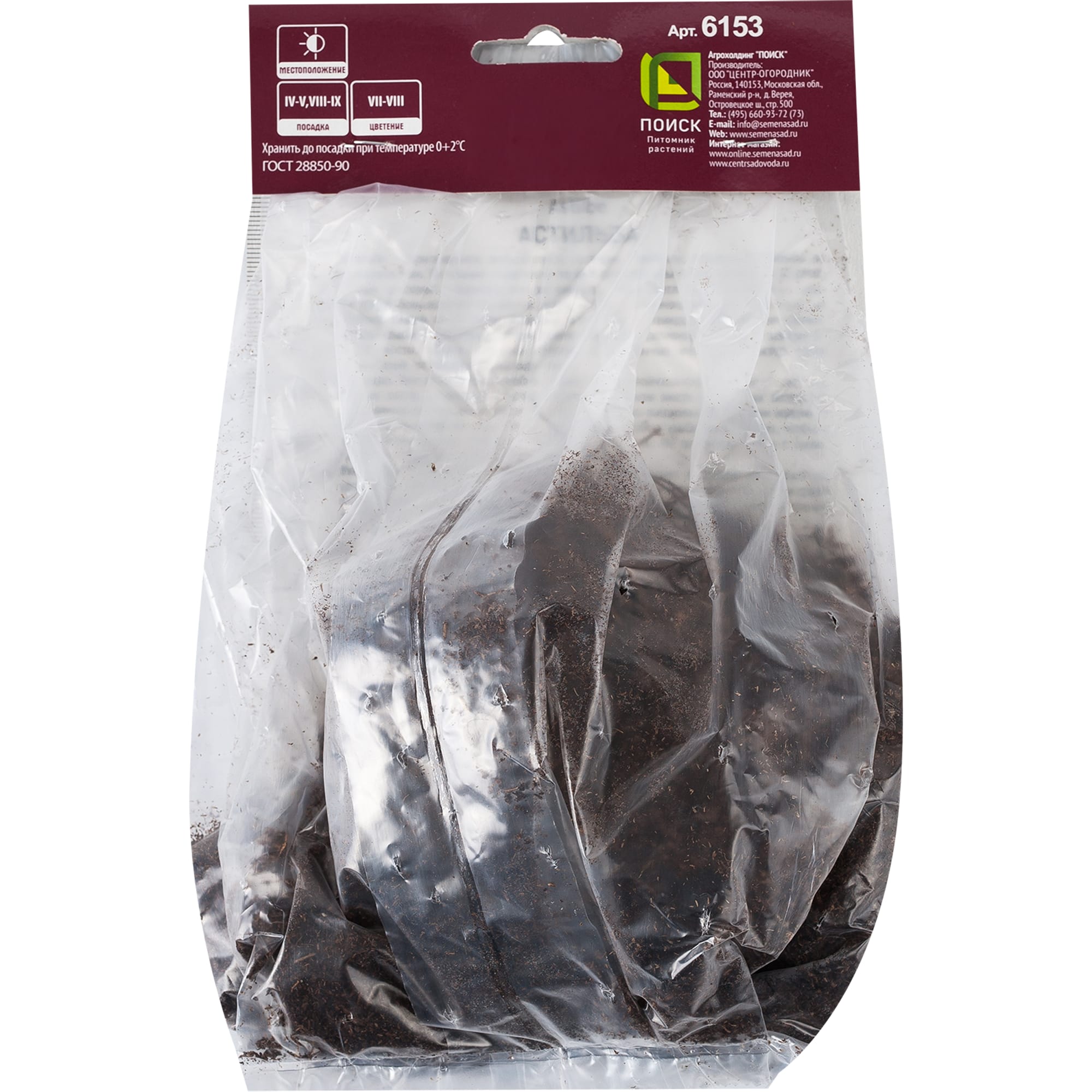 17536127 Астильба Вижнс китайская, 1 шт Santreyd  - Вид №1