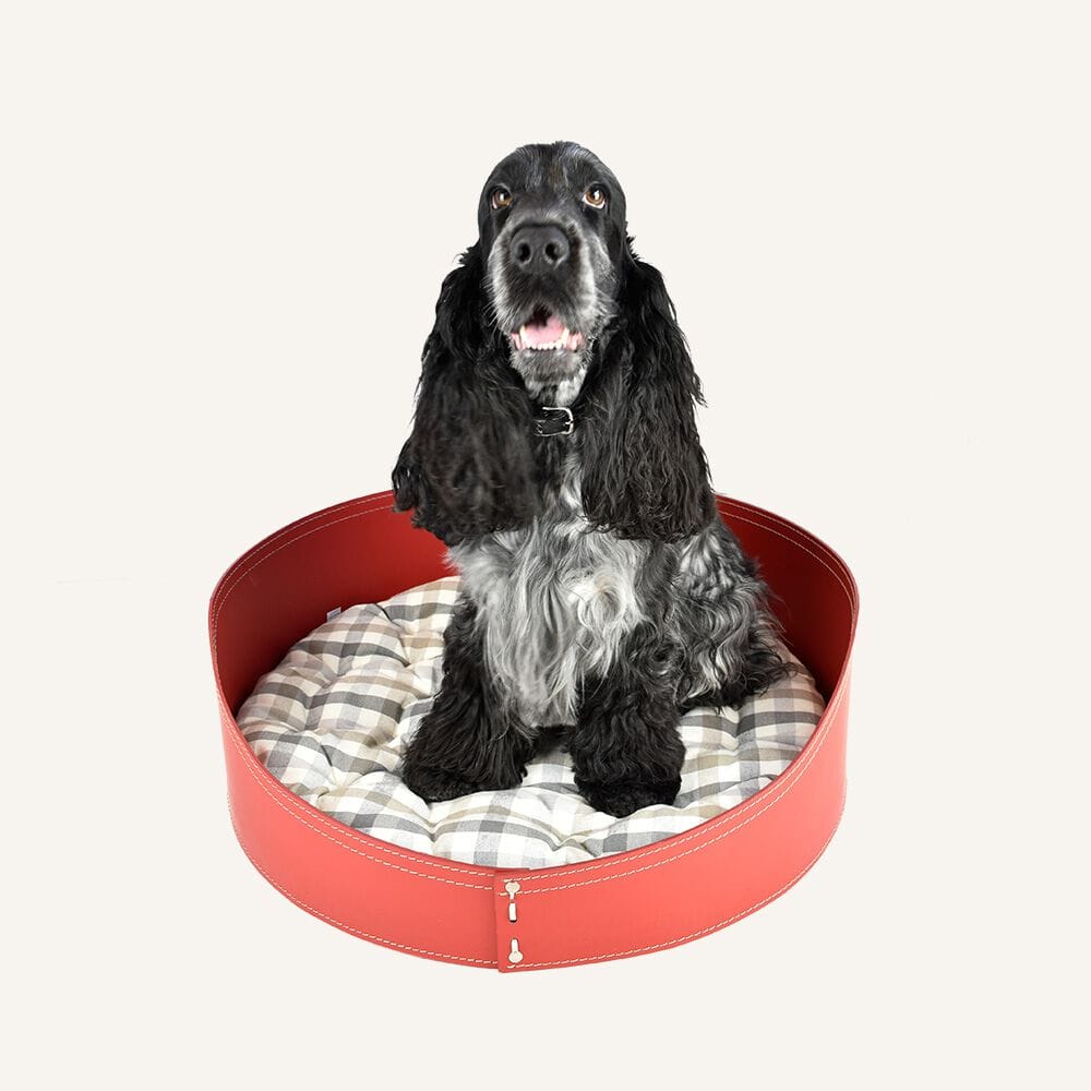 Собачья будка из регенерированной кожи LIMAC design FIRESTYLE SOLE ARCH-00044882 - Вид №8