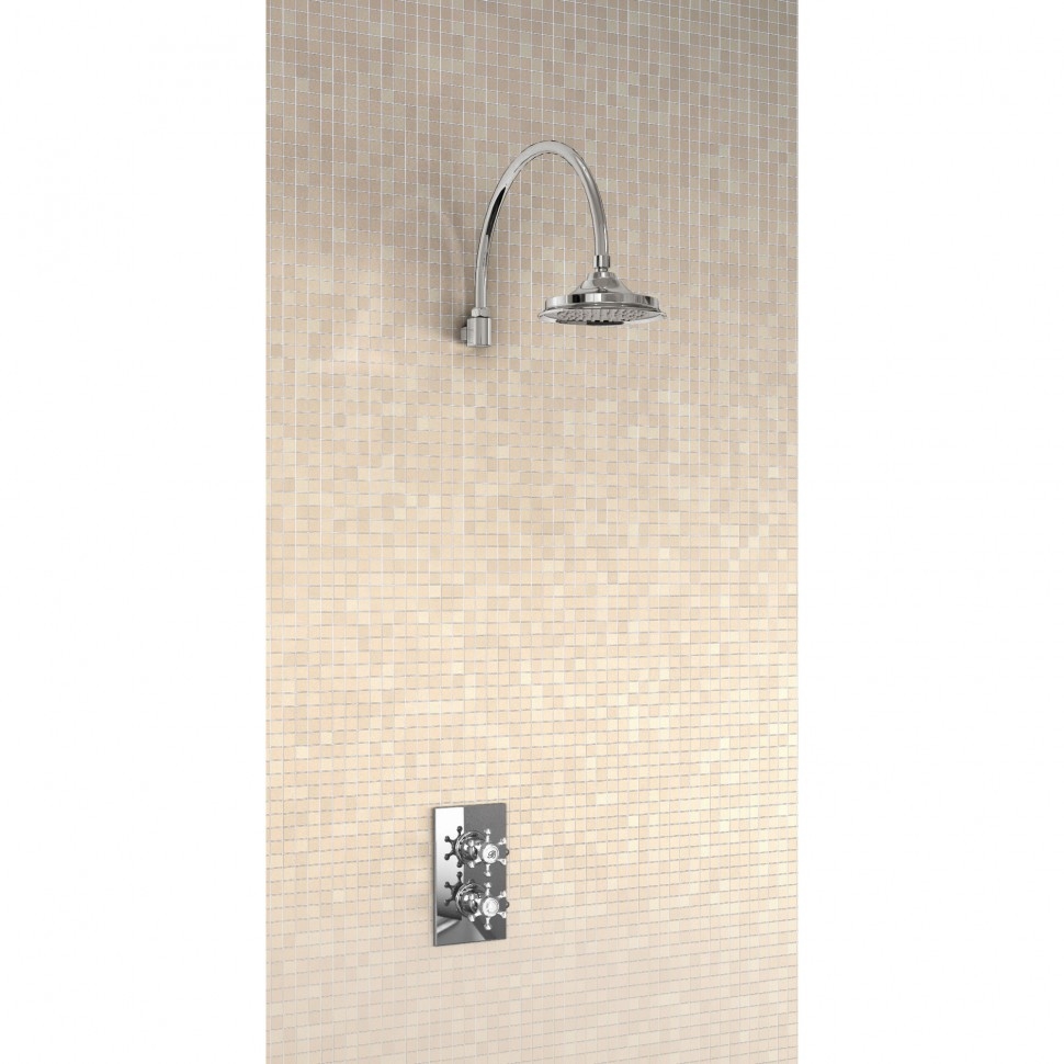 Душевая стойка с встроенным термостатом на 1 выпуск, верхняя лейка 6' [H30-BI] Birkenhead Burlington V3, V3, V16, V20, V34  - Вид №1