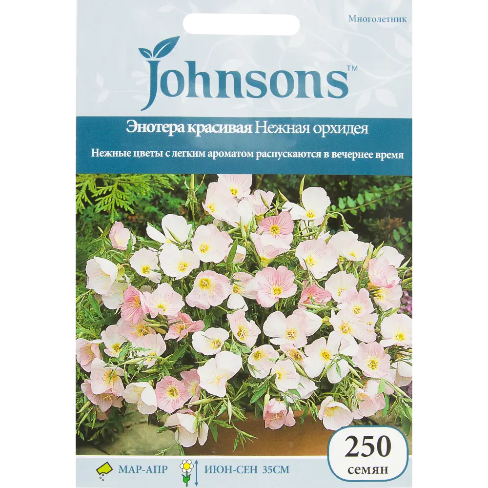 Семена цветов Энотера Нежная орхидея бело-розовая Johnsons 13877514 STLM-2047970 