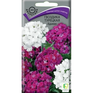 Семена цветов Поиск гвоздика Турецкая Адажио 86218031 STLM-2083437
