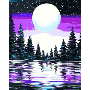 Картина по номерам Розовая ночь 40х50 см