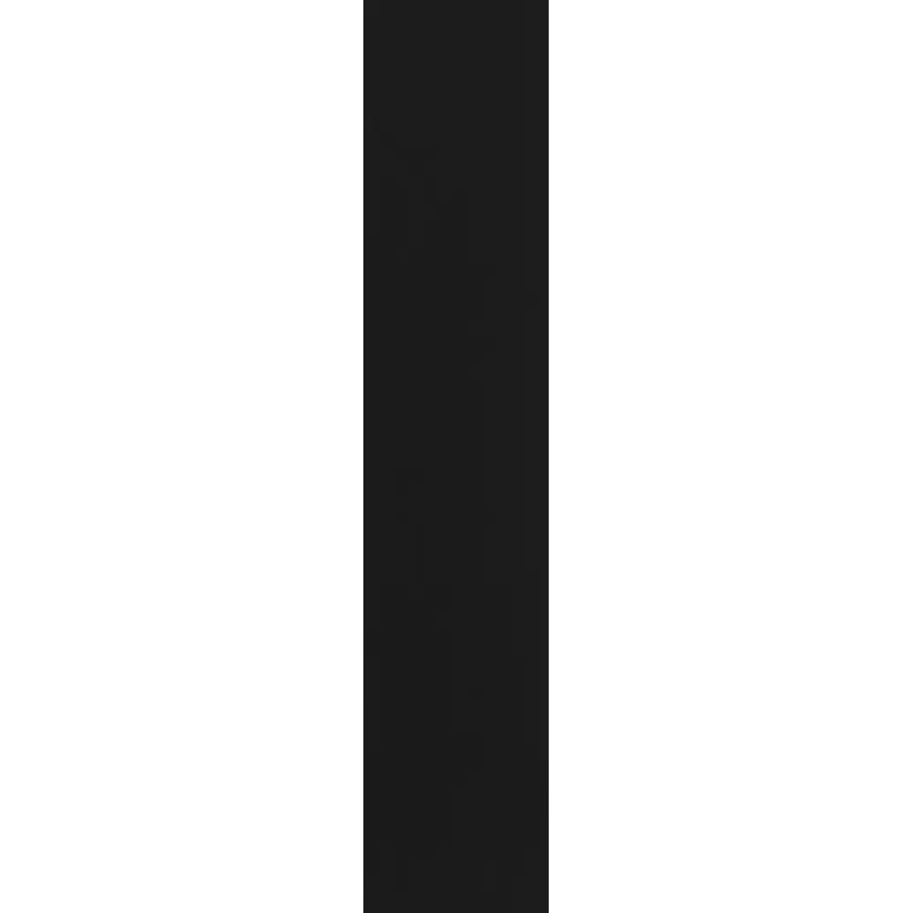 Santreyd Дверь для шкафа Лион графит 39,6×193,8 см 88967151 STLM-1100479 - Вид №1