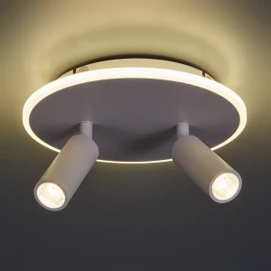 Светильник потолочный 20046SMA/02 цвет белый