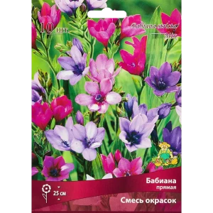 Бабиана прямая смесь окрасок, 10 шт