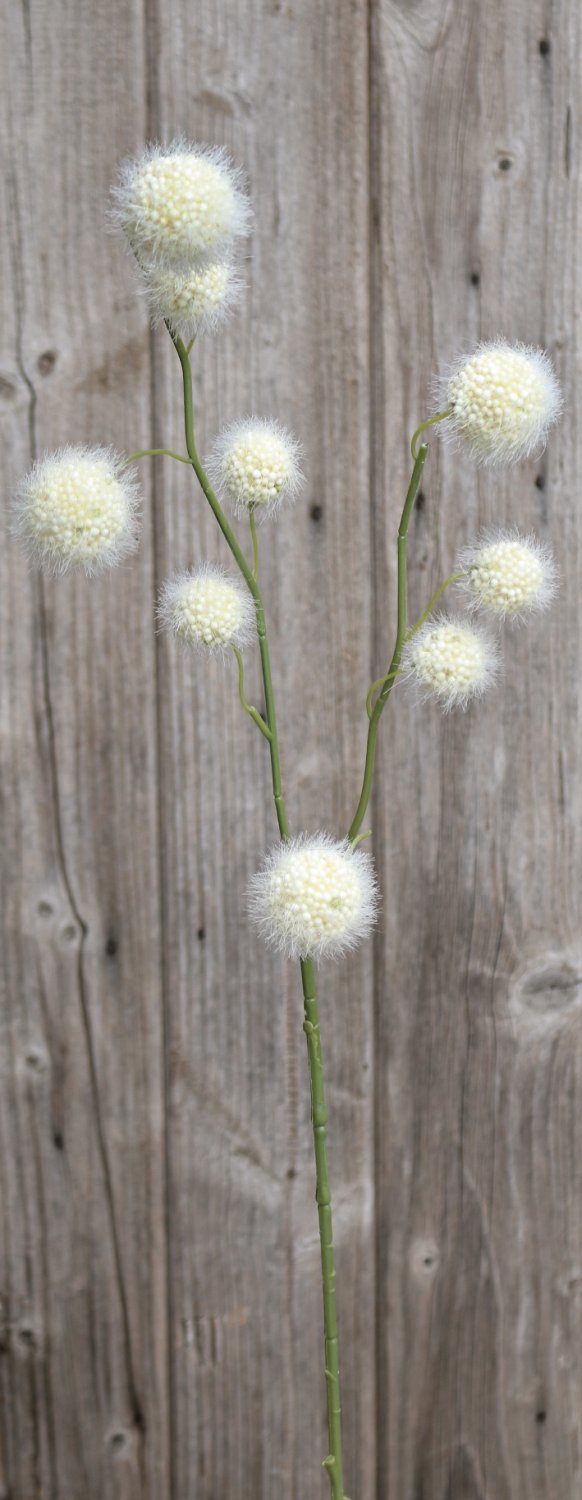 5549 778 a3 Фруктовая ветка гомфокарпус, 60 см, бежево-белая H-andreas  - Вид №3