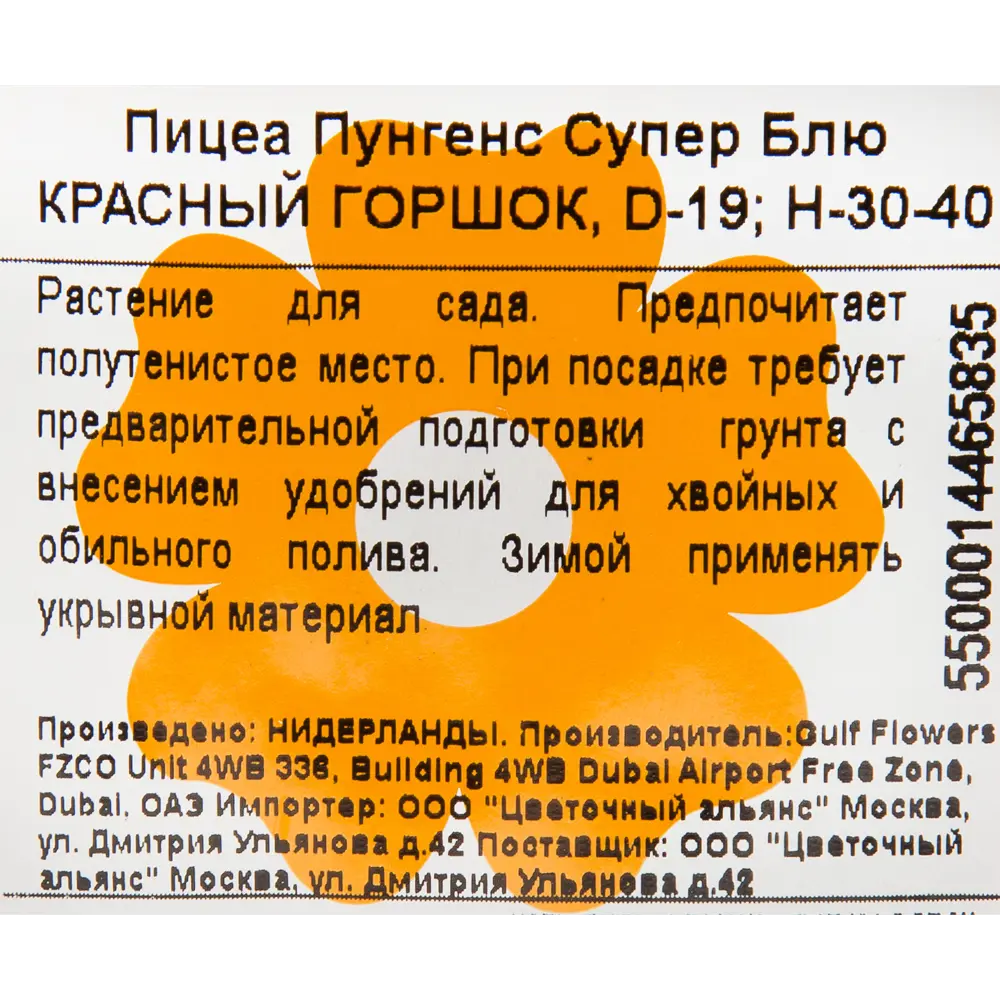 Ель Супер блю в красном горшке 19x30-40 см 82769613 STLM-2202248 Santreyd  - Вид №3