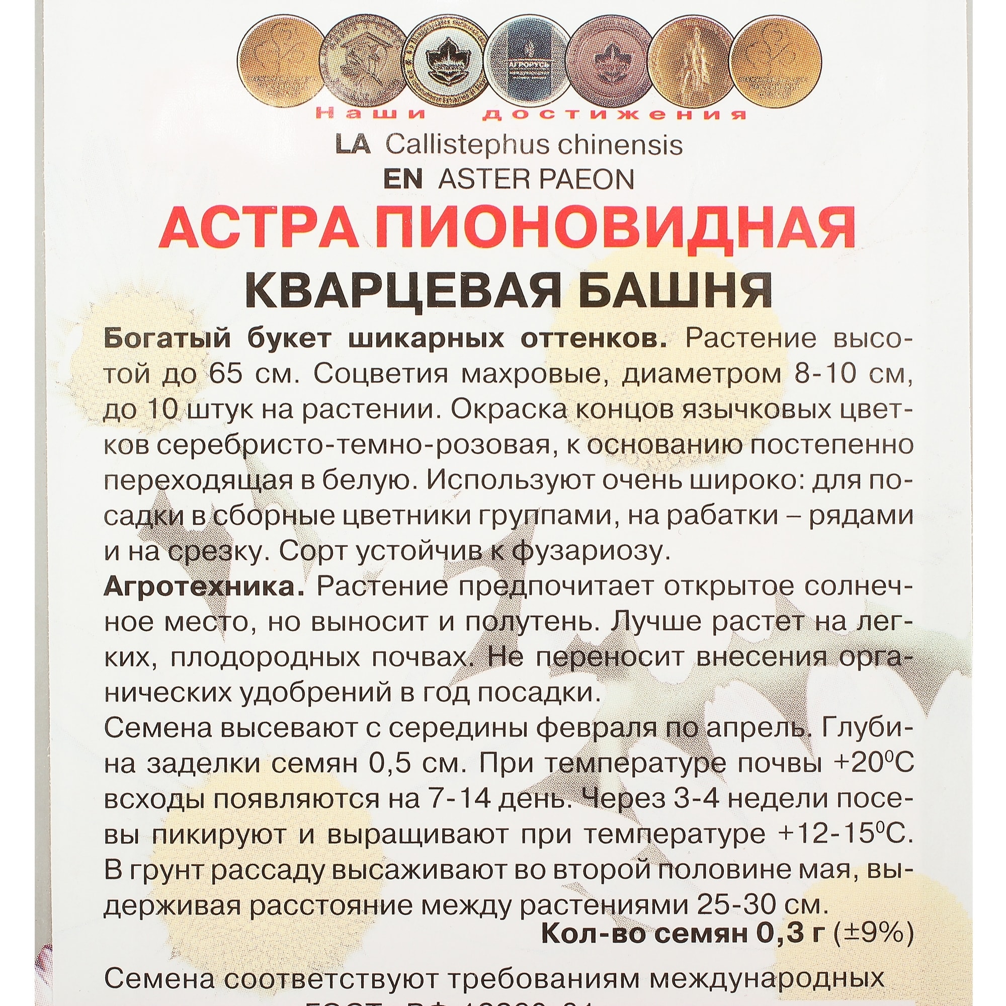 17229506 Астра пионовидная «Кварцевая башня» Santreyd  - Вид №2