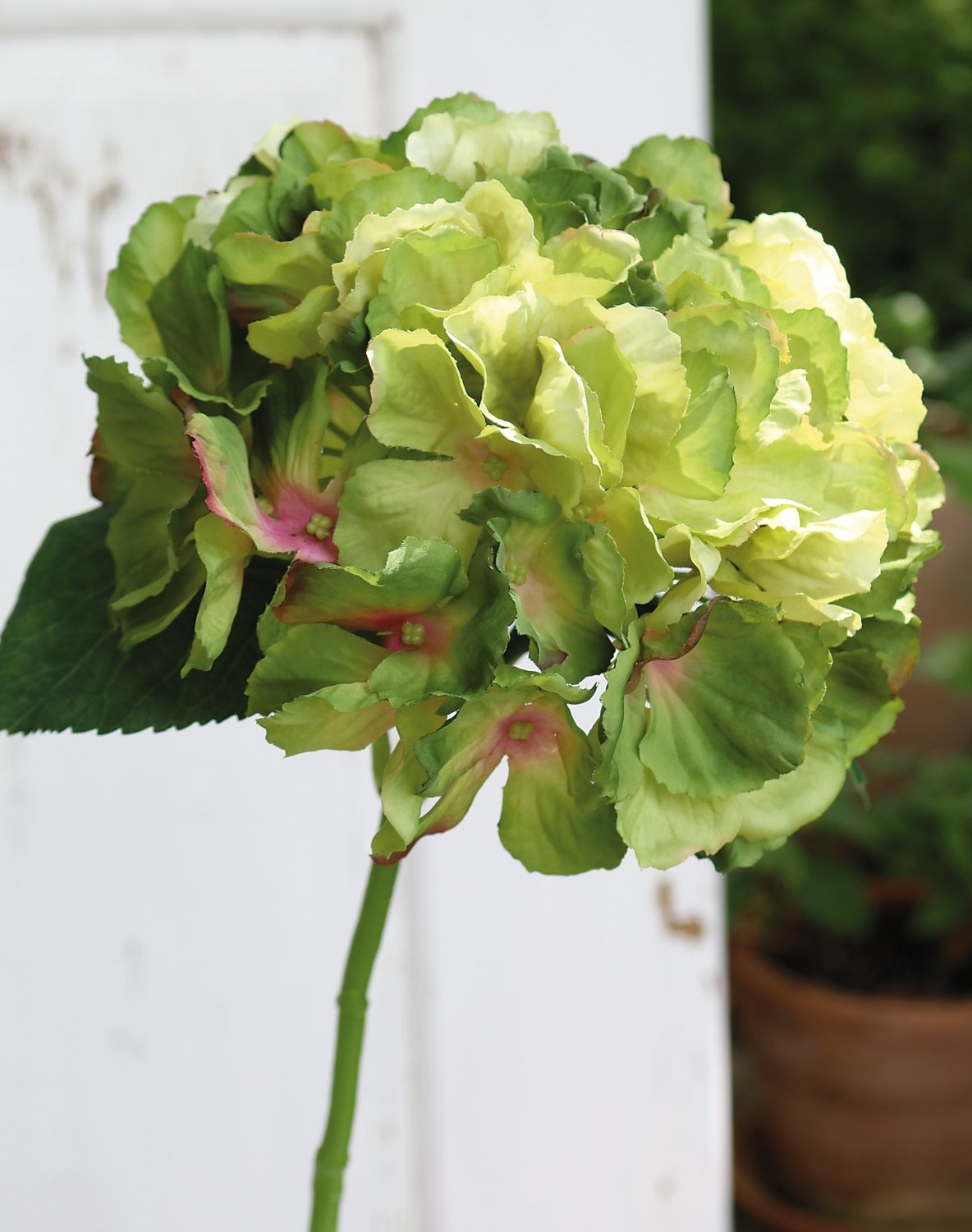 9901 883 a3 Гортензия искусственная, 40 см, зеленая H-andreas  - Вид №2