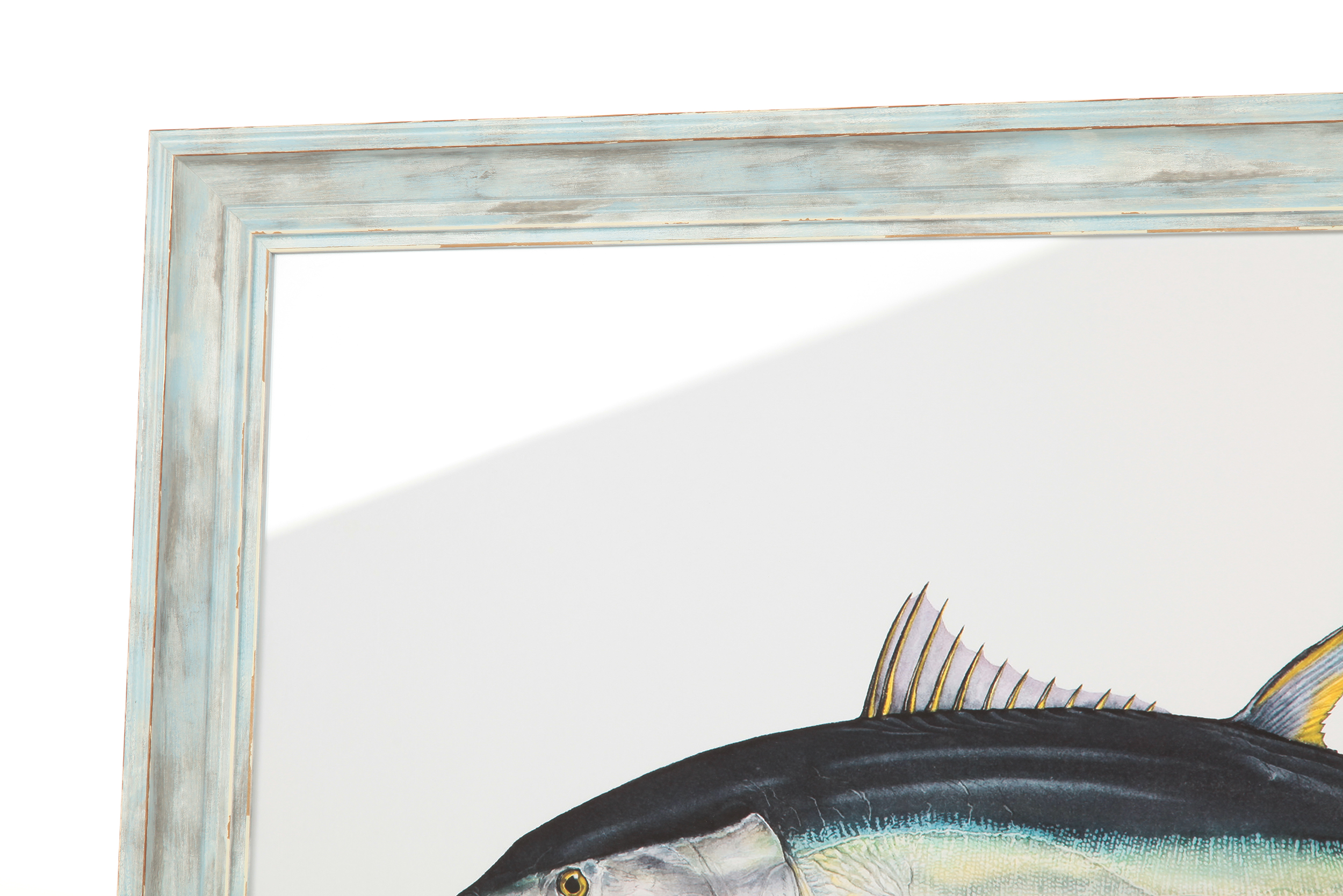 2000983160706 Постер Yellowfin Tuna LINIE DESIGN  - Вид №2