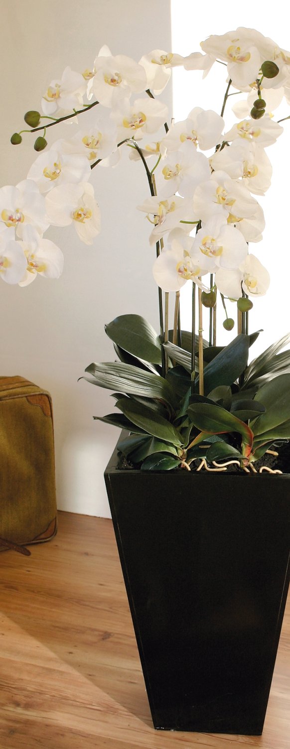 2840 778 a3 Пластиковая орхидея Phalaenopsis, 6-кратная, горшечная, 155 см, real touch, бежево-белая H-andreas  - Вид №2