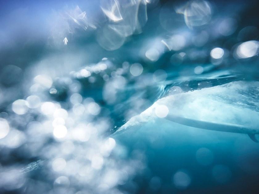 Architects Paper Обои с цифровой печатью Ap digital iv 109170 - Вид №1