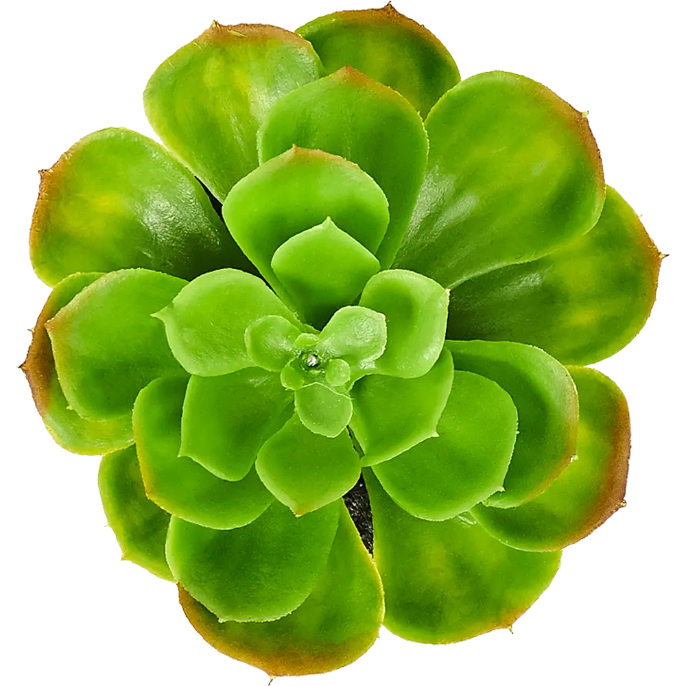 82733287 Горшок с искусственным растением с веревкой ø12 см высота 16 см STLM-0831746 Santreyd  - Вид №3