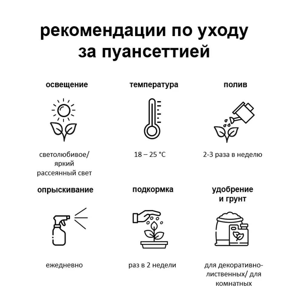 82941550 Пуансеттия микс 13 см STLM-1354465 Santreyd  - Вид №3