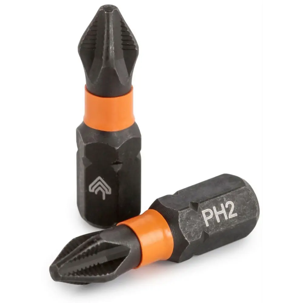 Магнитная бита RAGE PH2 25 мм для точного монтажа (2 шт) 89369259 STLM-0839838 - Вид №1