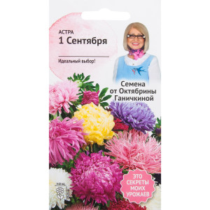 82481580 Астра «1 сентября» 0.3 г СЕМЕНА ОТ ОКТЯБРИНЫ ГАНИЧКИНОЙ STLM-0027960