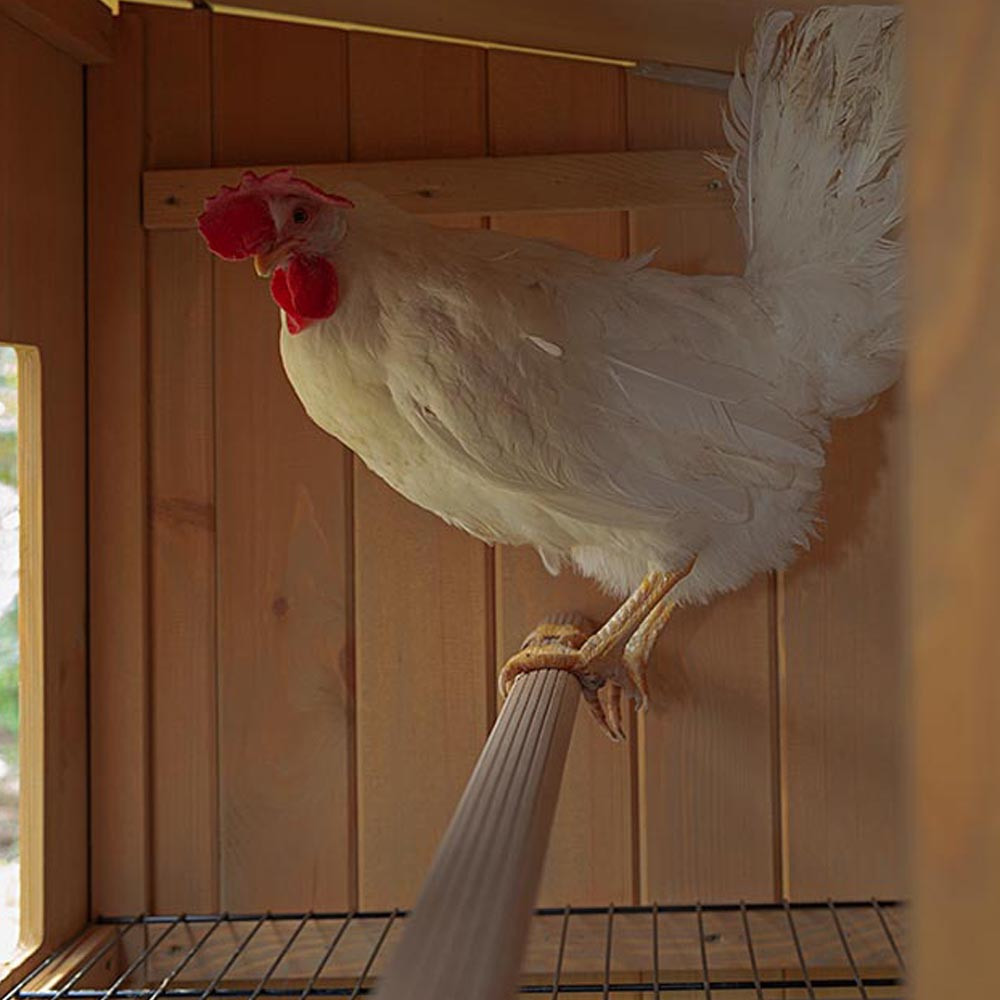 ПР0022469 Домик-гнездо для птиц HEN HOUSE 30 для кур 162x100x110см FERPLAST  - Вид №2