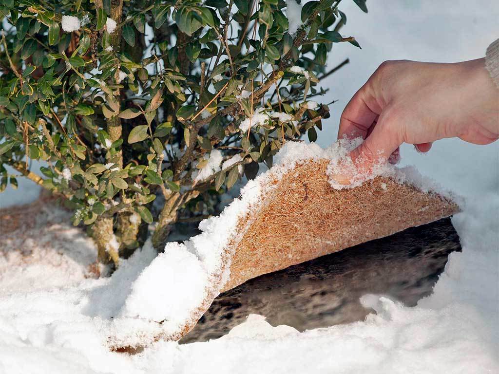 Круг приствольный Мульчаграм 60 см, комплект - 5шт ГеоПластБорд GPBST-236 - Вид №5