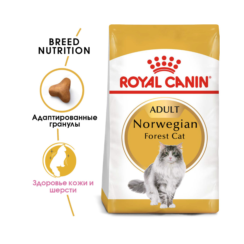 ПР0056575 Корм для кошек Norwegian Forest для породы норвежская лесная сух. 2кг ROYAL CANIN  - Вид №1